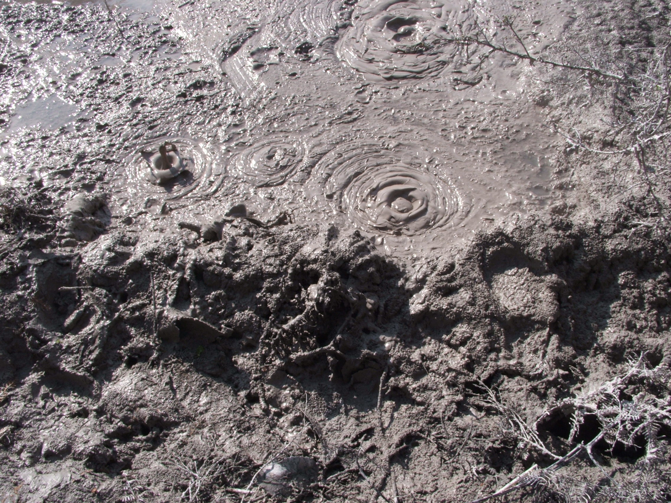 Down the Kiwi Memory lane – Cultural diversity (Part 1 of 2)