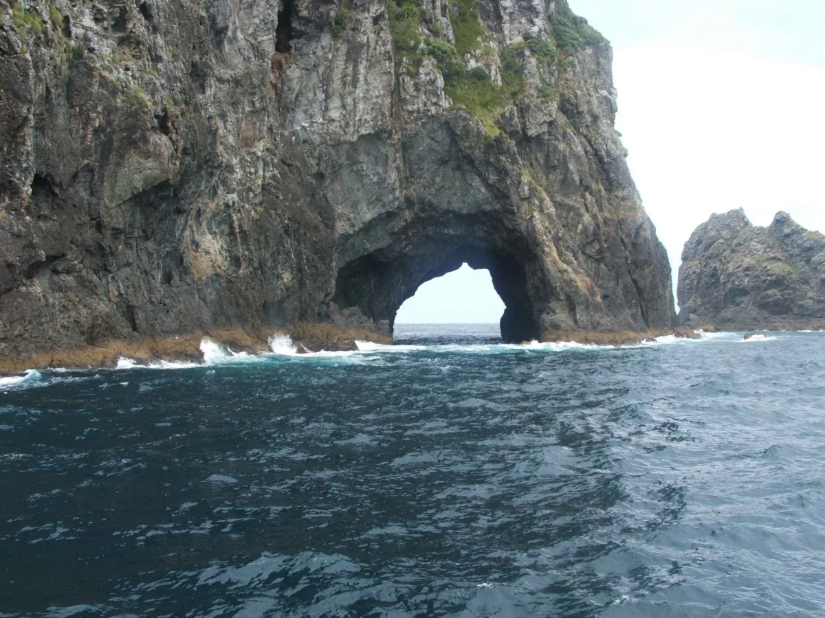 Down the Kiwi Memory lane – Cultural diversity (Part 1 of 2)