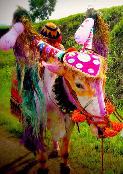 Thanksgiving - Gratitude is my attitude